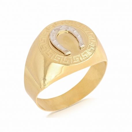 Men's Ring in Gold 18 Carats with Horse Iron