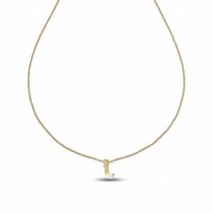 Ketting met de letter J in...