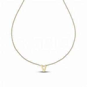 Ketting met de letter V in...